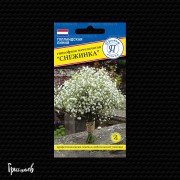 Гипсофила Снежинка Гипсофила Снежинка