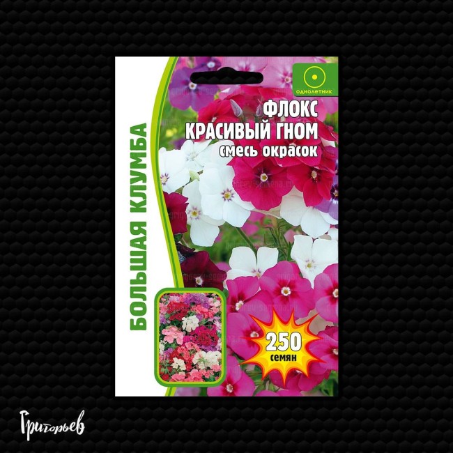 Флокс Красивый Гном смесь Флокс Красивый Гном смесь