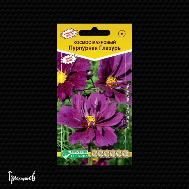 Космос Пурпурная глазурь махровый