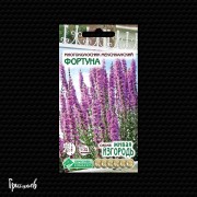 Многоколосник Фортуна мексиканский