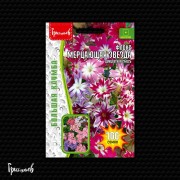 Флокс Мерцающая Звезда двуцветная смесь