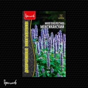 Многоколосник Мексиканский