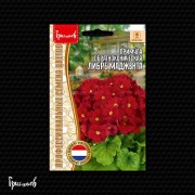 Примула Либре Маджента обратноконическая
