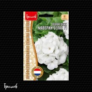 Пеларгония Маверик Белая F1