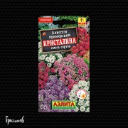 Алиссум Кристалина смесь сортов приморский