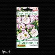 Эустома Эйбиси роуз рим F1 крупноцветковая Эустома Эйбиси роуз рим F1 крупноцветковая
