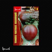 Томат Гном Пурпурное Сердце