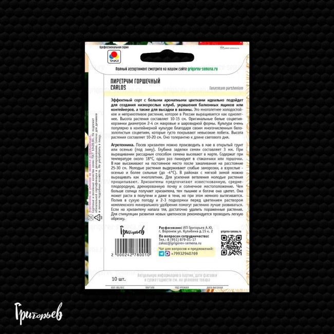 Пиретрум Карлос горшечный