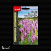 Лиатрис Точечный низкорослый Лиатрис Точечный низкорослый