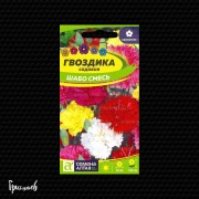 Гвоздика Шабо смесь садовая