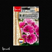 Примула Либре Розовая Пикоти обратноконическая