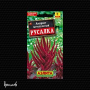 Амарант Русалка метельчатый