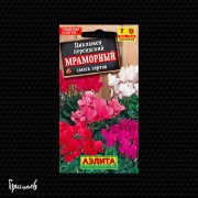 Цикламен Мраморный смесь сортов персидский