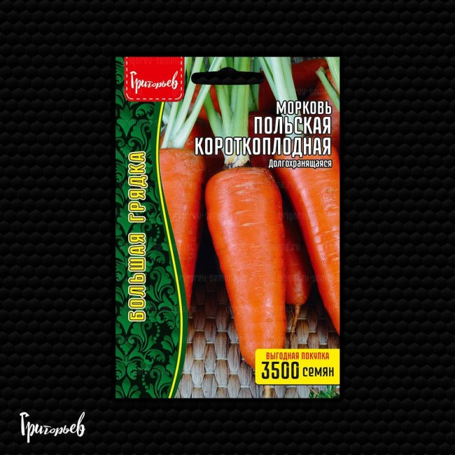 Морковь Польская Короткоплодная