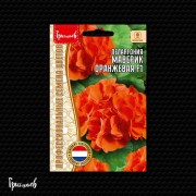 Пеларгония Маверик Оранжевая F1 Пеларгония Маверик Оранжевая F1