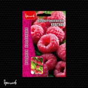 Малина Красная ремонтантная Малина Красная ремонтантная