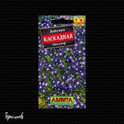 Лобелия Биколор каскадная