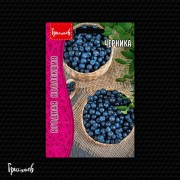 Черника Черника