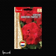 Пеларгония Маверик Скарлет F1
