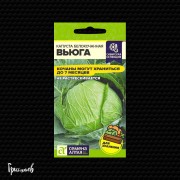 Капуста белокочанная Вьюга Капуста белокочанная Вьюга
