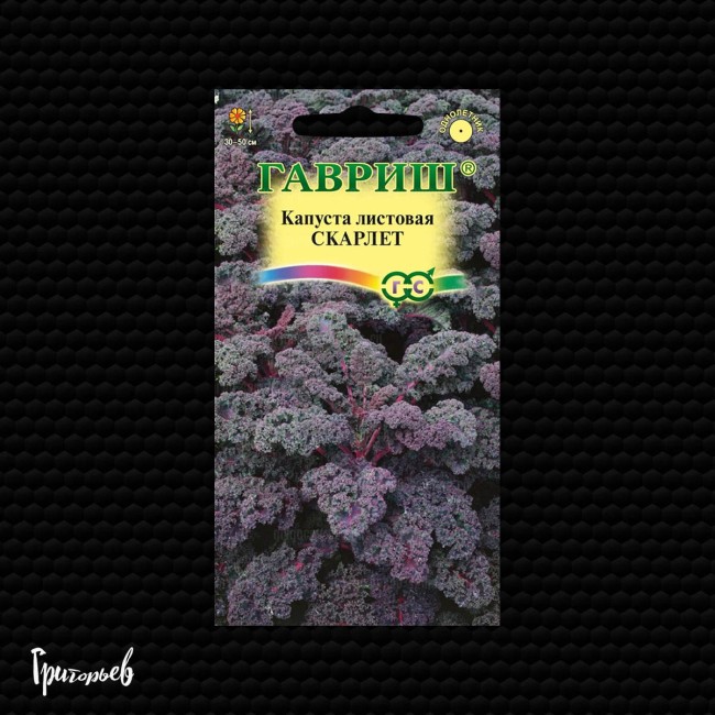 Капуста декоративная Скарлет