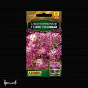 Алиссум Тёмно-Розовый приморский