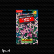 Маттиола Царица ночи Маттиола Царица ночи