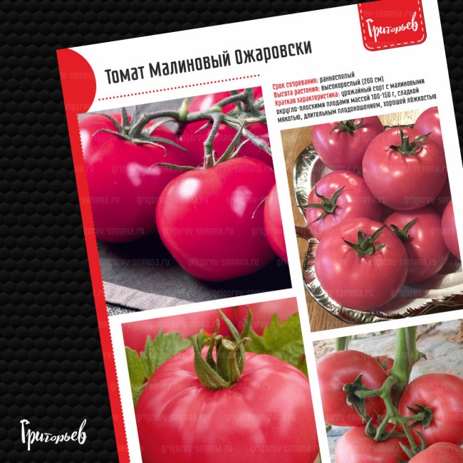 Томат Малиновый Ожаровски