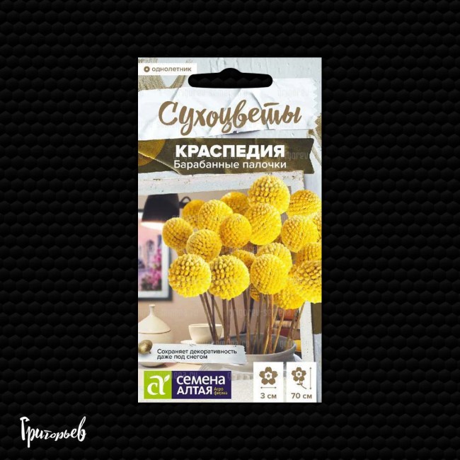 Краспедия Барабанные палочки шаровидная