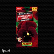 Виола Швейцарские гиганты альпенглоу Виола Швейцарские гиганты альпенглоу