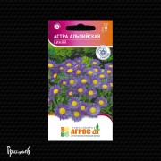 Астра Синяя альпийская