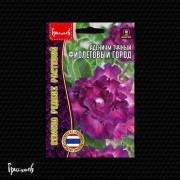 Адениум Фиолетовый Город тучный Адениум Фиолетовый Город тучный