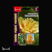 Лириодендрон Тюльпановый Лириодендрон Тюльпановый
