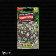 Алиссум Черничное суфле смесь окрасок