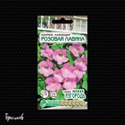 Азарина Розовая лавина лазающая