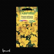 Кассия Александрия трубчатая