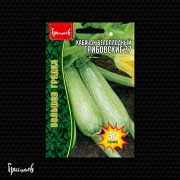Кабачок белоплодный Грибовские 37