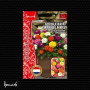 Цинния Лилипут микс изящная (50 шт.)