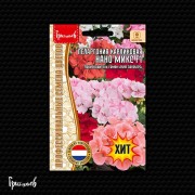 Пеларгония Нано Микс F1 карликовая Пеларгония Нано Микс F1 карликовая