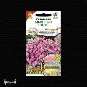 Сапонария Мыльный корень Сапонария Мыльный корень