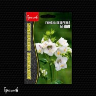 Синюха Белая лазоревая
