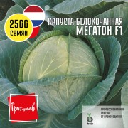 Капуста белокочанная Мегатон F1 Капуста белокочанная Мегатон F1