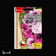 Петуния Супербиссима Чёрный Триумф бахромчатая Петуния Супербиссима Чёрный Триумф бахромчатая