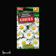Нивяник Аляска наибольший