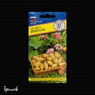Картофель Импала Картофель Импала