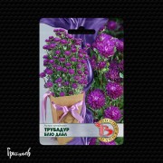 Астра Трубадур блю дабл китайская