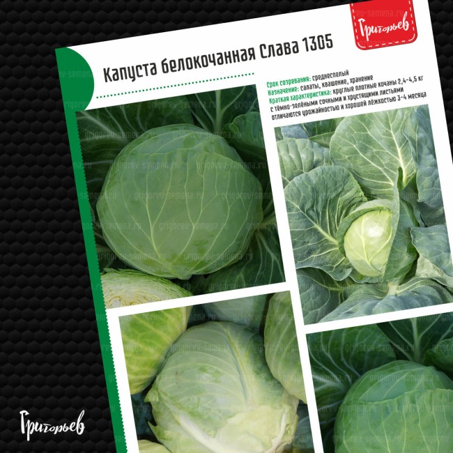 Капуста белокочанная Слава 1305