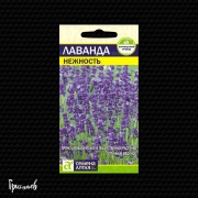 Лаванда Нежность