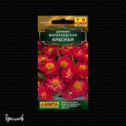 Цинния Красная мариландская