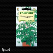 Мимоза Кампина стыдливая